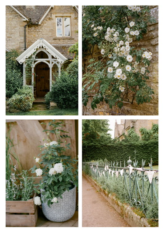 Post Cards - White