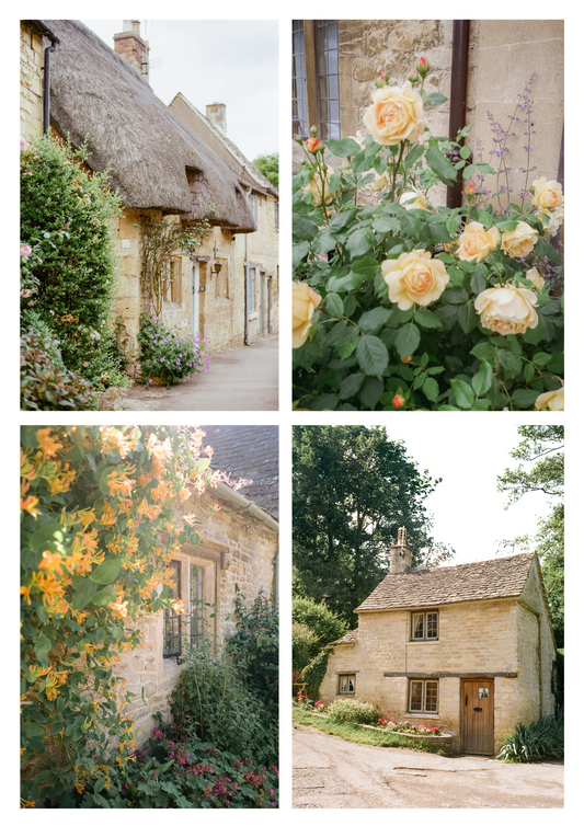 Post Cards - Yellow